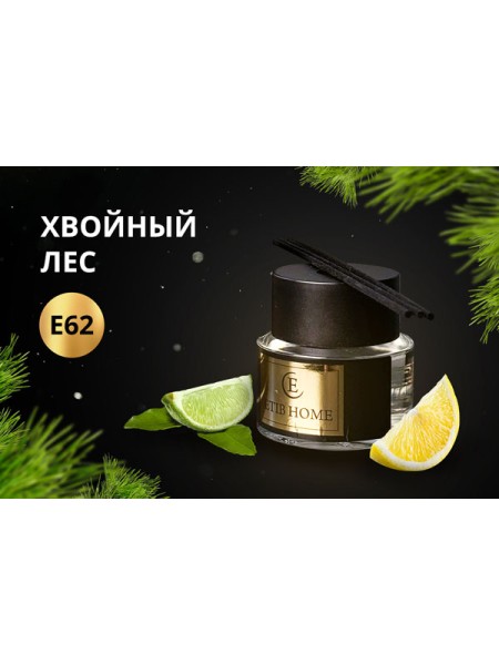 Хвойный лес