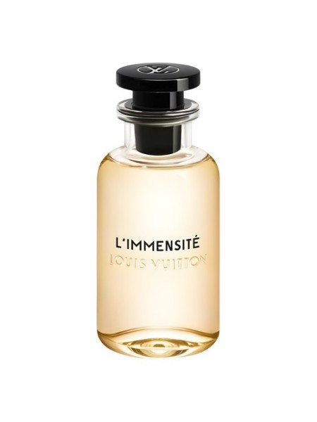 Louis Vuitton Limmensité / L20