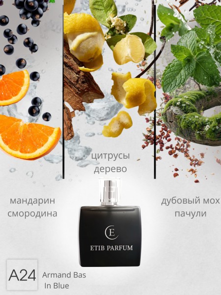 Armand Basi In Blue / A24