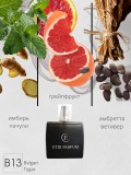 Bvlgari Tygar / B13