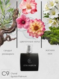 Chanel Egoiste Platinum / C9 Chanel Egoiste Platinum / C9
