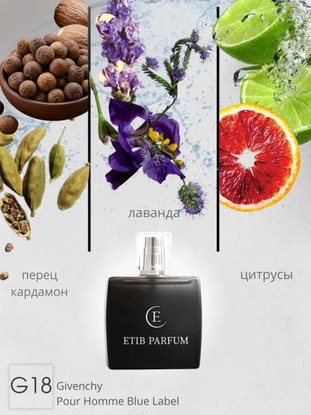 Givenchy Pour Homme Blue Label / G18