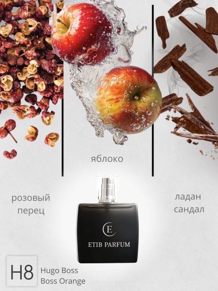 Hugo Boss Boss Orange / H8