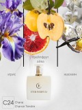 Chanel Chance Tendre / C24